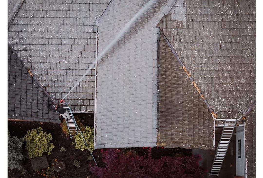 Roof Cleaning Service